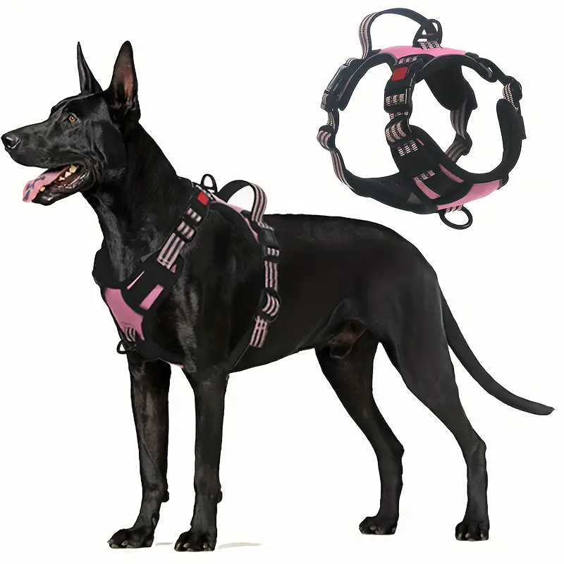 Kingdom Dog Harness: Unleashing Comfort and Control