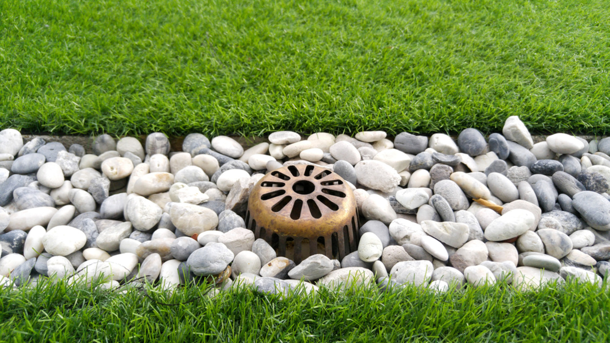 Effective Techniques for Managing Lawn Drainage Issues